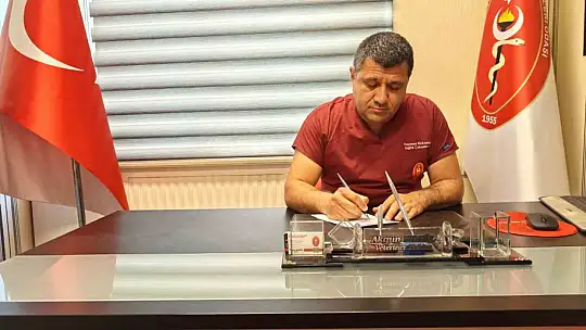Sineklerle mücadele yönteminizi değiştirin