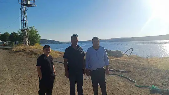 Sokak hayvanlarına balık ziyafeti
