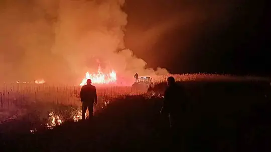 Sultan Sazlığı Milli Parkı'nda yangın