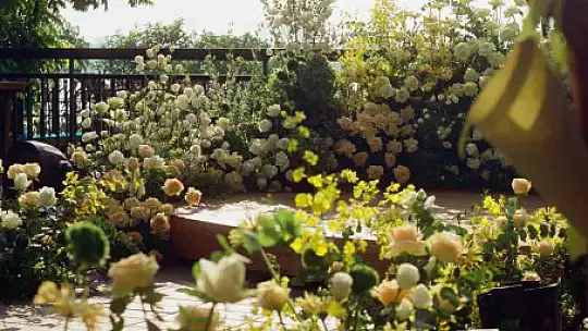 Talas 2026'da rengarenk olacak