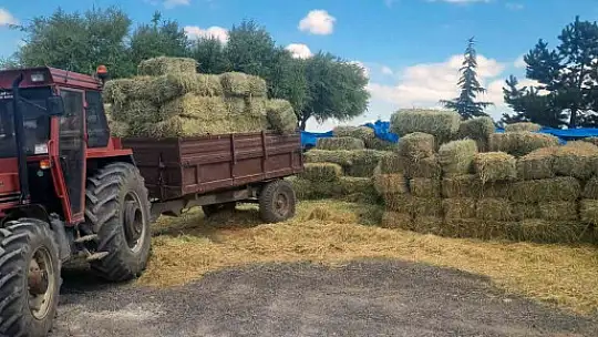 Talas Belediyesi'nden yem desteği