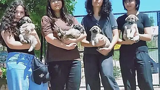Talas Pati Evi'nde sevgi dolu buluşma