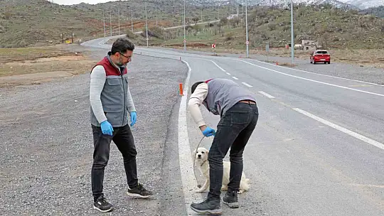 Talas Pati Evi, sahipsiz canlara yuva oluyor
