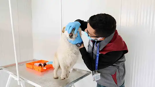 Talas Patievi Doğal Yaşam Alanı 500 can için seçkin bir yuva