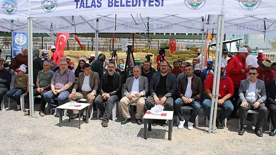 Talas'ta İle De France koyun ırkları yarıştı