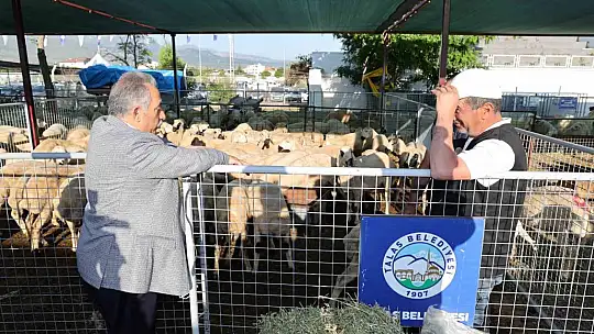 Talas'ta Kurban Pazarı başvuru tarihi belli oldu