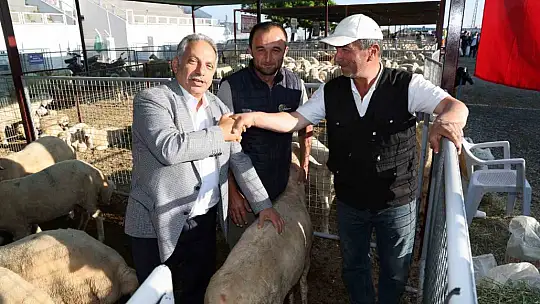 Talas'ta kurban satış yerleri kurası