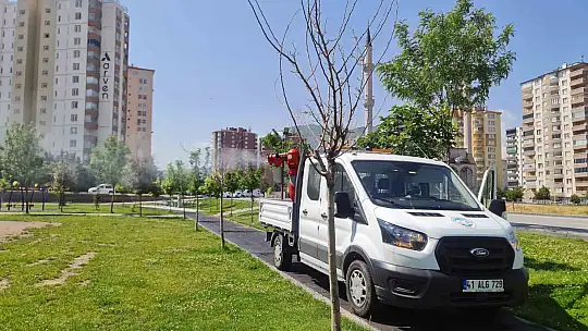 Talas'ta yaz boyunca haşereyle mücadele devam ediyor