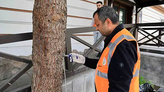 Talas'tan çevre dostu ilaçlama atağı