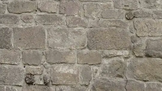 Tarihi Kayseri Kalesi'ndeki ağaçlar araştırılıyor