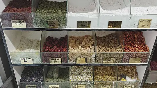 Ter kokusuna bitkisel çözüm