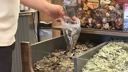 Ter kokusuna bitkisel çözüm