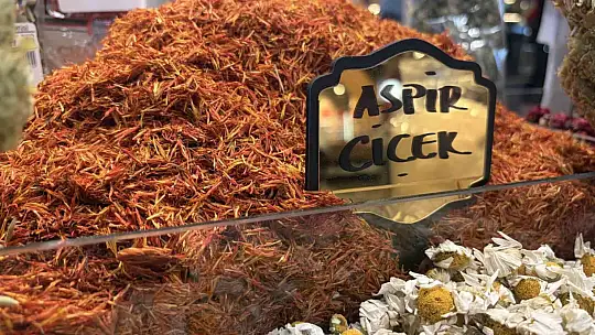 Ter kokusuna bitkisel çözüm