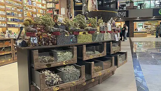 Ter kokusuna bitkisel çözüm