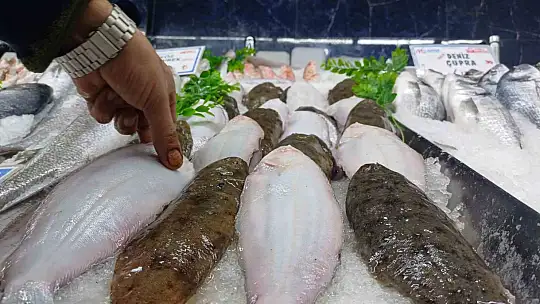 Tezgahlarda palamut yok, hamsi çok