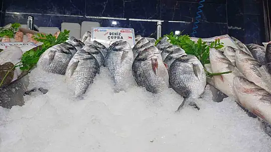 Tezgahlarda palamut yok, hamsi çok