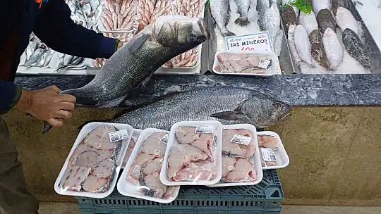 Tezgahlarda palamut yok, hamsi çok