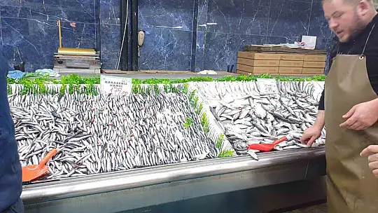 Tezgahlarda palamut yok, hamsi çok