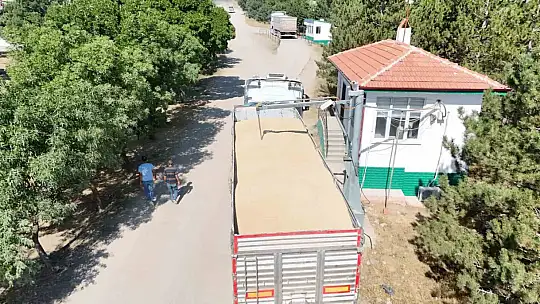 Tomarza'da hububat alımları sürüyor
