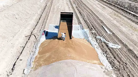Tomarza'da hububat alımları sürüyor