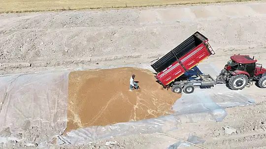 Tomarza'da hububat alımları sürüyor