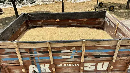 Tomarza'da Toprak Mahsulleri Ofisi hububat alımına başladı
