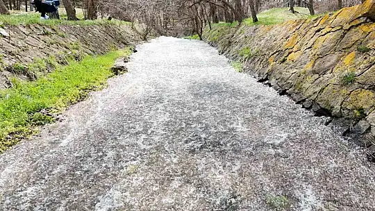 Tomarza'da yağışlar barajları doldurdu, çiftçinin yüzü güldü