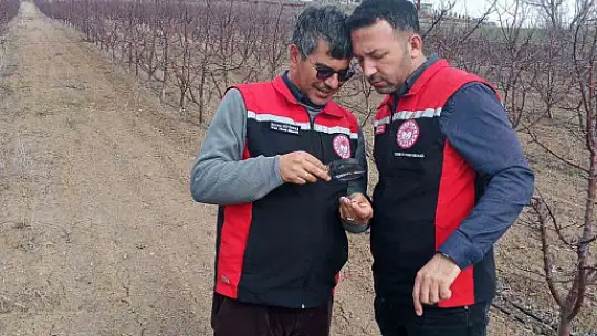 Tomarza'da zirai don uyarısı sonrası saha kontrolleri devam ediyor