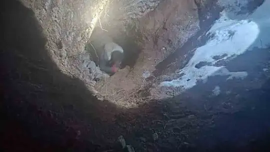 Tümülüste kaçak kazıya suçüstü