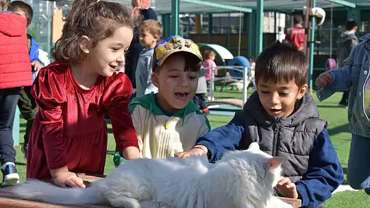 Türkiye'de ilk olan 'Küçük Dostlar Ambulansı' ile 10 bin 280 can kurtarıldı