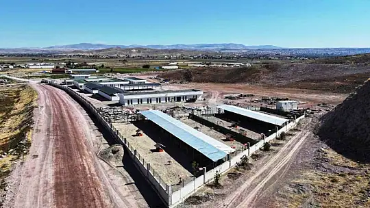 Türkiye'de ilk olan 'Küçük Dostlar Ambulansı' ile 10 bin 280 can kurtarıldı