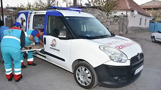 Türkiye'de ilk olan 'Küçük Dostlar Ambulansı' ile 10 bin 280 can kurtarıldı