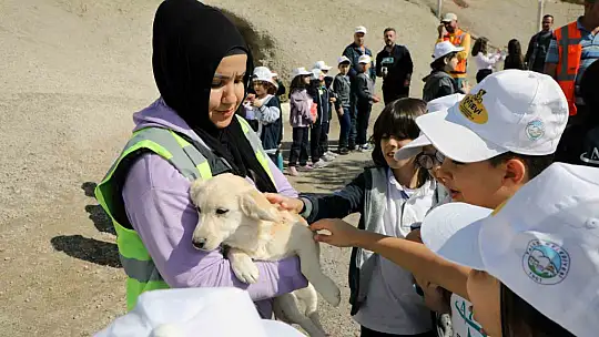 Türkiye'ye örnek 'Pati Evi' Talas'ta