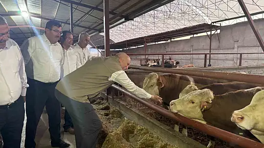 TZOB Genel Başkanı Şemsi Bayraktar, Akin'de ay çekirdeği hasadına katıldı