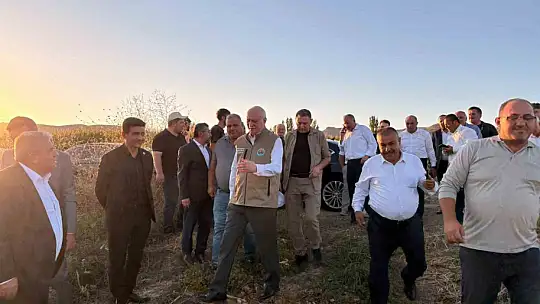 TZOB Genel Başkanı Şemsi Bayraktar, Akin'de ay çekirdeği hasadına katıldı