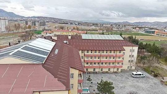 Ulu çınarların yuvası yenileniyor