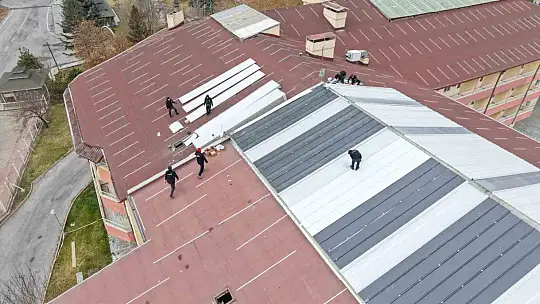 Ulu çınarların yuvası yenileniyor