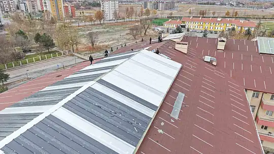 Ulu çınarların yuvası yenileniyor