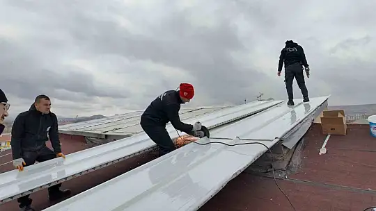 Ulu çınarların yuvası yenileniyor