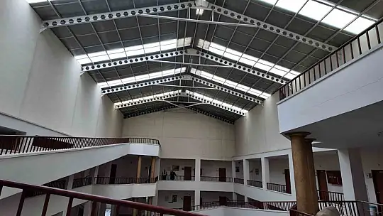 Ulu çınarların yuvası yenileniyor