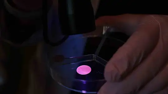 Üzerlik ve sarı kantarondan led ışığı