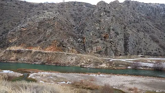 Vali Çiçek tedavisi tamamlanan hayvanları doğaya saldı