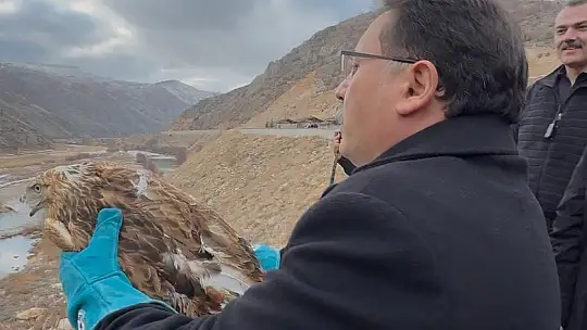 Vali Çiçek tedavisi tamamlanan hayvanları doğaya saldı