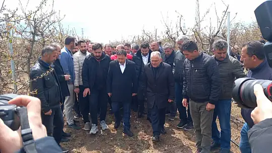 Vali Çiçek ve Başkan Büyükkılıç'tan Develi'de 'zirai don' incelemesi