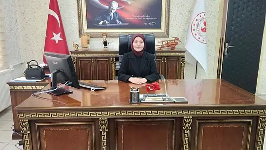 Vali yardımcıları ve kaymakamlar kararnamesi yayınlandı