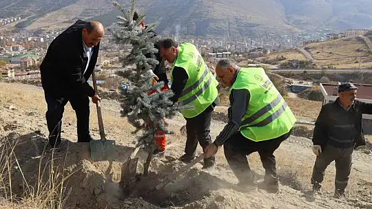 Yahyalı'da binlerce fidan toprakla buluştu