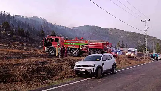 Yahyalı'daki orman yangını kontrol altına alındı