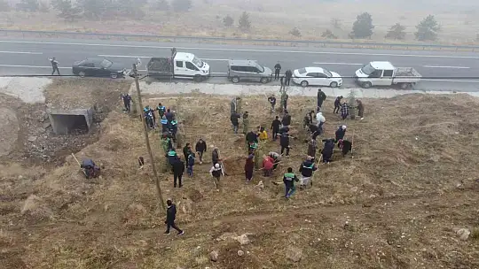 Yahyalı'ya bin 200 fidan dikildi