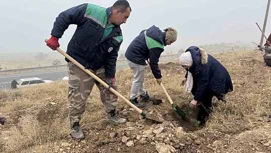 Yahyalı'ya bin 200 fidan dikildi