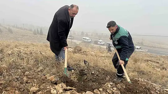 Yahyalı'ya bin 200 fidan dikildi